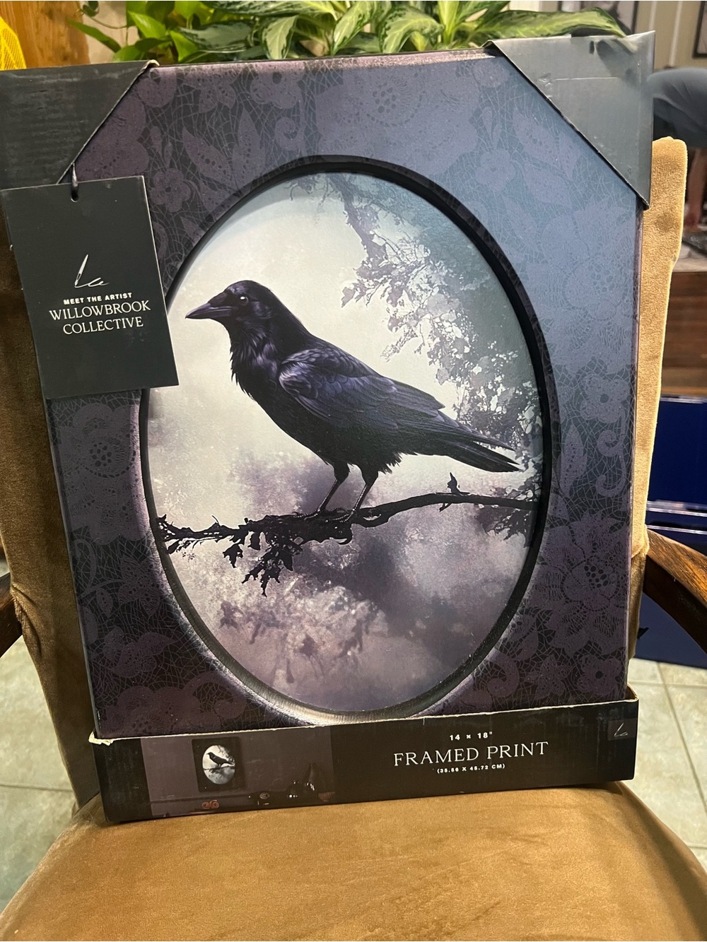 Black Raven Framed Print